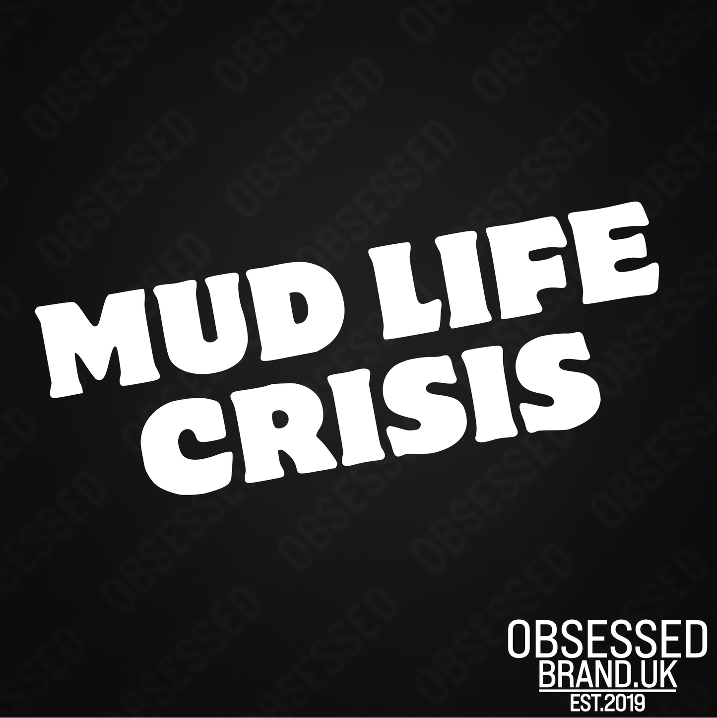 MUD LIFE CRISIS