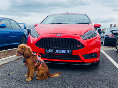 Red Ford Fiesta with personalised @JUST.ANOTHER.FEZ show plate and dog